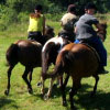 Horseback Touring