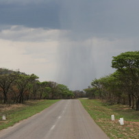 The Rains Arrive !