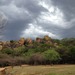 Matobo Hills, near Bulawayo
